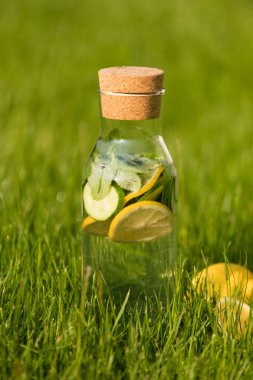 Yaz taze limonata limon, nane ve salatalık. Suyu Detoks