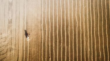 Çalışma alanı ve Mowser buğday hasat. Ukrayna. Havadan görünümü.