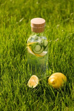 Yaz taze limonata limon, nane ve salatalık. Suyu Detoks