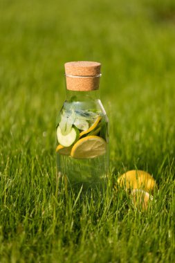 Yaz taze limonata limon, nane ve salatalık. Suyu Detoks