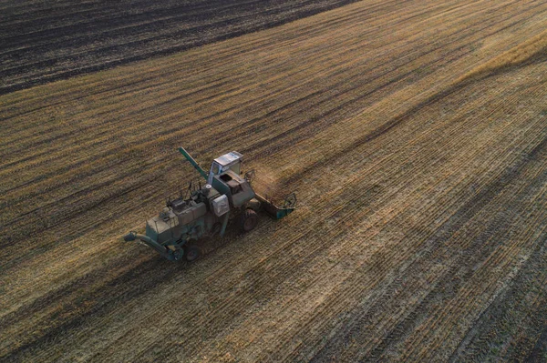 Raccoglitore che lavora in campo e falcia il grano. Ucraina. Vista aerea . — Foto Stock