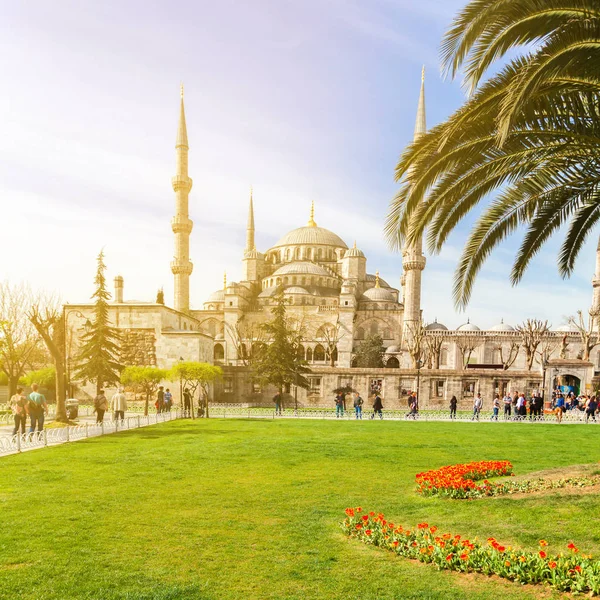 Uitzicht op de blauwe moskee in Istanbul, kalkoen — Stockfoto