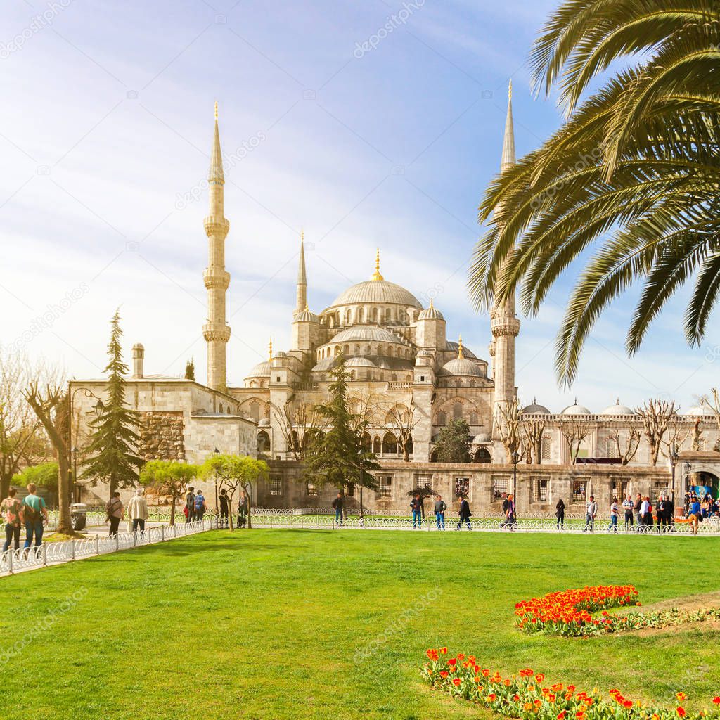 View of the Blue Mosque in Istanbul, Turkey