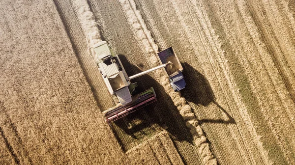 Récolteuse travaillant dans les champs et fauche le blé. Ukraine. Vue aérienne . — Photo