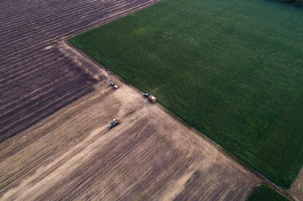 Aerial view of field processed harvester. Landscaping pattern from mown fields and green freshly planted — Stock Photo, Image