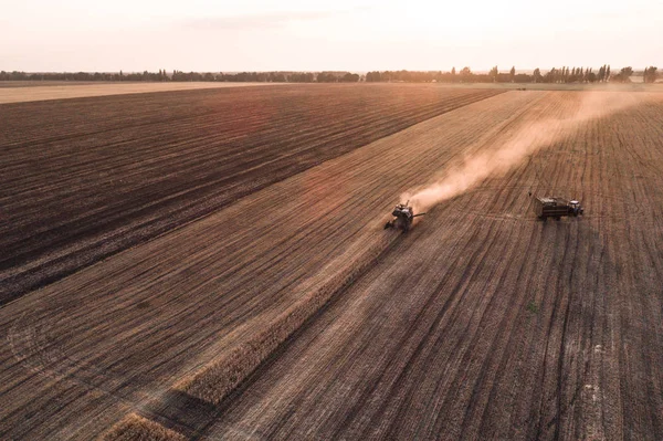 Çalışma alanı ve Mowser buğday hasat. Ukrayna. Havadan görünümü.