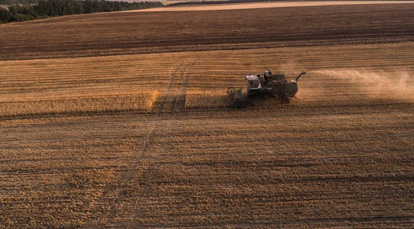 Skördare arbetar i fält och mows vete. Ukraina. Flygfoto. — Stockfoto