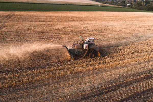 Harvester working in field and mows wheat. Ukraine. Aerial view.