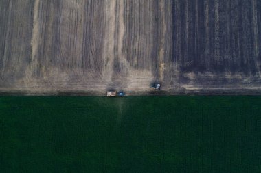 Tahıl için daha fazla alay römork içine dökülen birleştirmek hasat havadan görünümü.