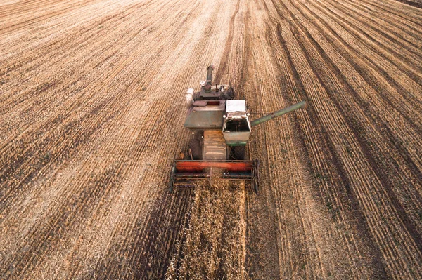 Harvester working in field and mows wheat. Ukraine. Aerial view.