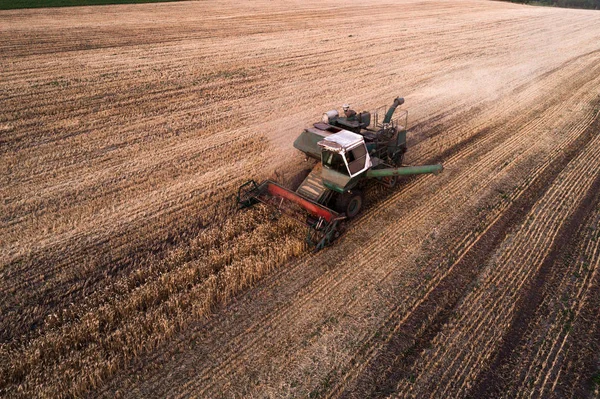 Maaimachine werkt in veld en maait tarwe. Oekraïne. Luchtfoto. — Stockfoto