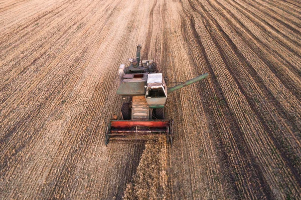 Çalışma alanı ve Mowser buğday hasat. Ukrayna. Havadan görünümü.