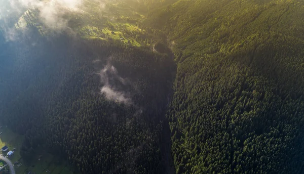 Aerial view of Carpathian mountains. Ukraine, Europe. Concept ecology protection. — Stock Photo, Image