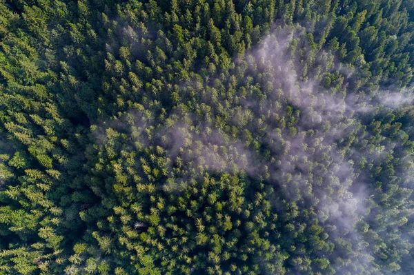 Aerial view of Carpathian mountains. Ukraine, Europe. Concept ecology protection. Top view — Stock Photo, Image