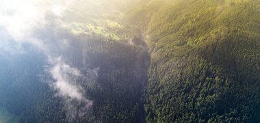 Havadan görünümü Karpat Dağları'nın. Ukrayna, Europe. Kavram ekoloji koruma.