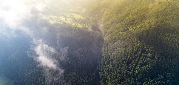 Aerial view of Carpathian mountains. Ukraine, Europe. Concept ecology protection. — Stock Photo, Image