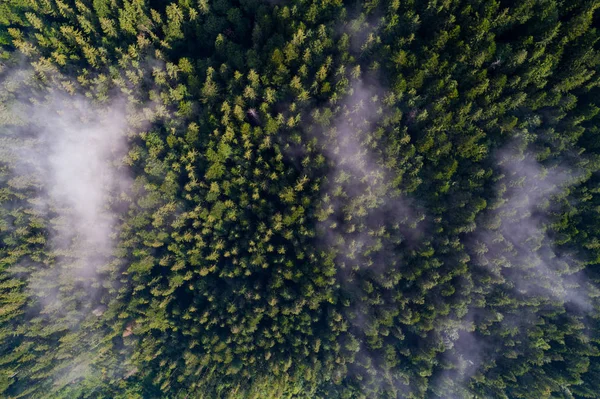 Havadan görünümü Karpat Dağları'nın. Ukrayna, Europe. Kavram ekoloji koruma. Üstten Görünüm — Stok fotoğraf
