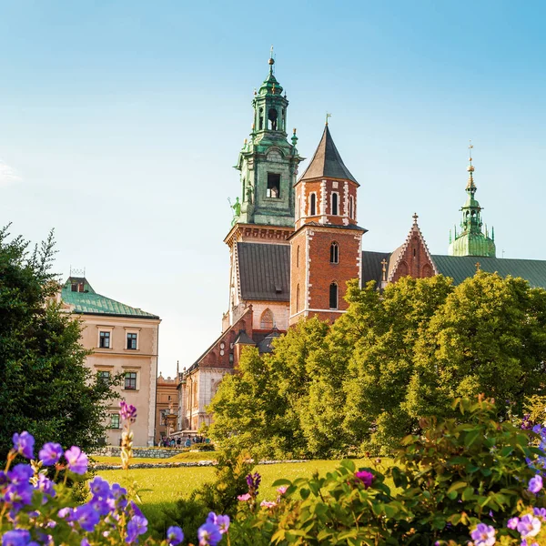 Wawel Kalesi ve Katedrali manzaralı Bahçe, Krakov, Polonya