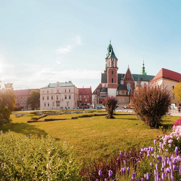 Vista del castillo de Wawel y la catedral con jardín, Cracovia, Polonia —  Fotos de Stock