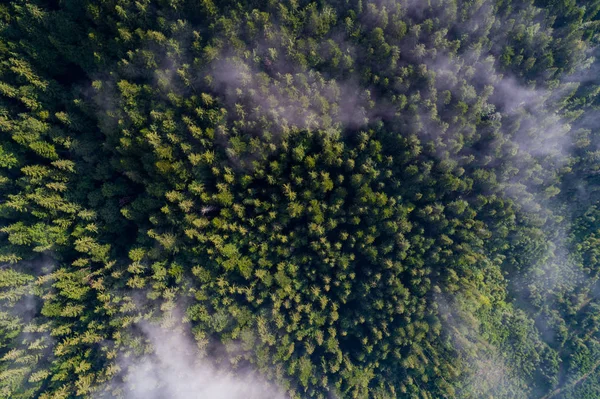 Letecký pohled na Karpaty. Ukrajina, Evropa. Koncepce ochrany ekologie. Pohled shora — Stock fotografie