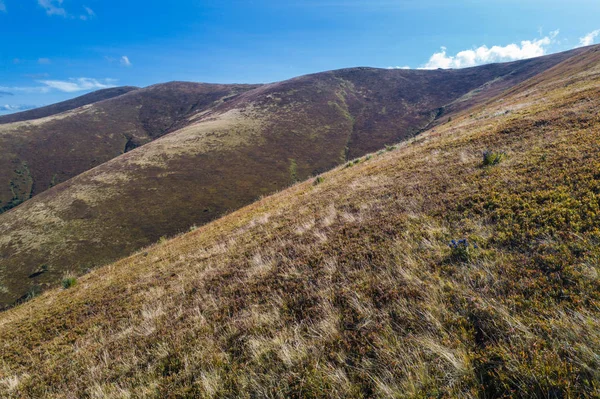 Yazın Karpat dağlarının güzel manzarası.