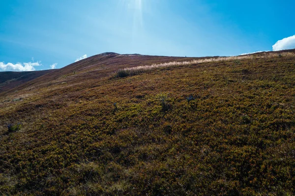 夏のカルパチア山脈の美しい景色. — ストック写真