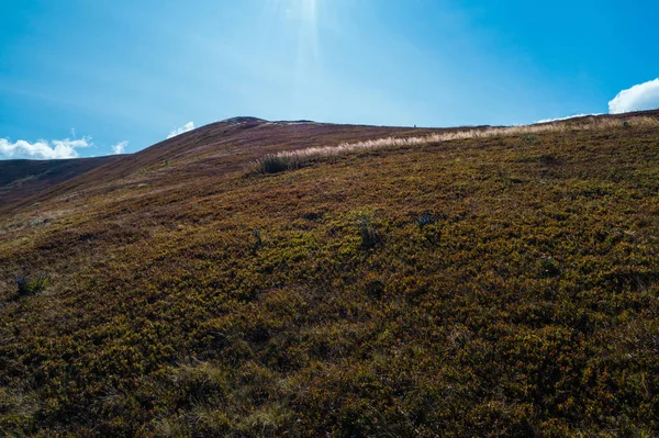 Bela vista das montanhas dos Cárpatos no verão. — Fotografia de Stock