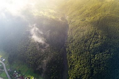 Havadan görünümü Karpat Dağları'nın. Ukrayna, Europe. Kavram ekoloji koruma.