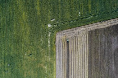 Hasat Mısır ile yeşil bir alanın yanındaki bir alanda bir ürün hasat. Ukrayna. Havadan görünümü.