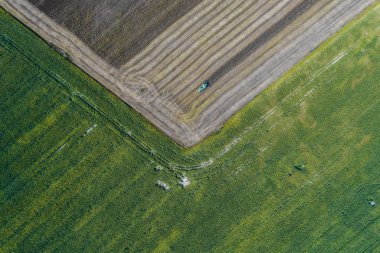 Hasat Mısır ile yeşil bir alanın yanındaki bir alanda bir ürün hasat. Ukrayna. Havadan görünümü.