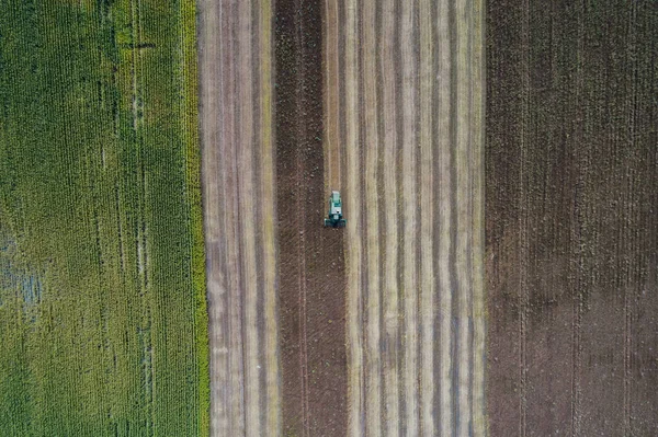 Hasat Mısır ile yeşil bir alanın yanındaki bir alanda bir ürün hasat. Ukrayna. Havadan görünümü.