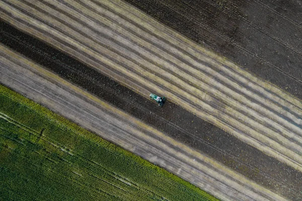 Colheitadeira colhe uma colheita em um campo ao lado de um campo verde com milho. Ucrânia. Vista aérea . — Fotografia de Stock