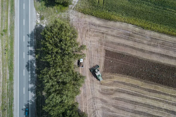 Raccolto raccoglie un raccolto in un campo vicino a un campo verde con mais. Ucraina. Vista aerea . — Foto Stock