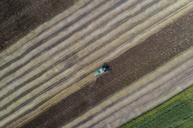 Hasat Mısır ile yeşil bir alanın yanındaki bir alanda bir ürün hasat. Ukrayna. Havadan görünümü.