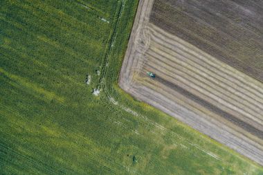 Hasat Mısır ile yeşil bir alanın yanındaki bir alanda bir ürün hasat. Ukrayna. Havadan görünümü.