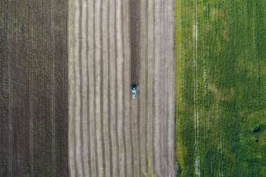 Hasat Mısır ile yeşil bir alanın yanındaki bir alanda bir ürün hasat. Ukrayna. Havadan görünümü.