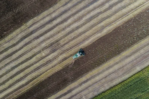 Hasat Mısır ile yeşil bir alanın yanındaki bir alanda bir ürün hasat. Ukrayna. Havadan görünümü.