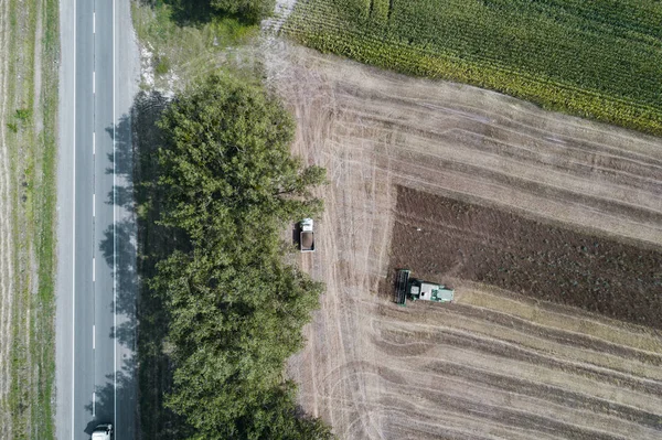 Kombajn do zbiorów upraw w polu obok zielone pole z kukurydzy. Ukraina. Widok z lotu ptaka. — Zdjęcie stockowe
