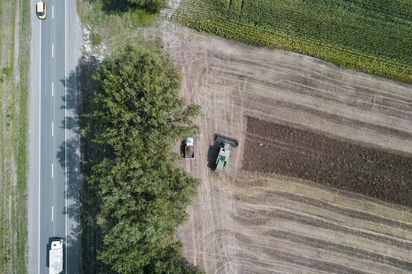 Raccolto raccoglie un raccolto in un campo vicino a un campo verde con mais. Ucraina. Vista aerea . — Foto Stock