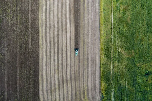 Kombajn sklizně plodin v poli vedle zelené pole s kukuřicí. Ukrajina. Letecký pohled. — Stock fotografie