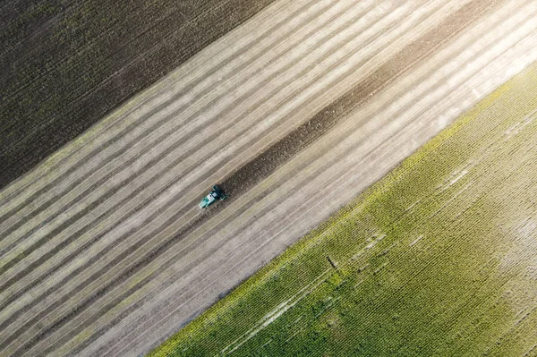 Hasat Mısır ile yeşil bir alanın yanındaki bir alanda bir ürün hasat. Ukrayna. Havadan görünümü.