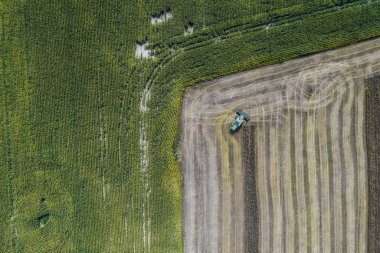 Hasat Mısır ile yeşil bir alanın yanındaki bir alanda bir ürün hasat. Ukrayna. Havadan görünümü.