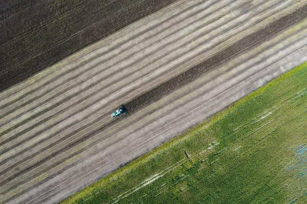 Récolteuse récolte une récolte dans un champ à côté d'un champ vert avec du maïs. Ukraine. Vue aérienne . — Photo
