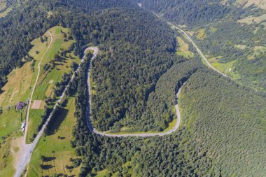 Orman arazisinden geçen dağ yolunun üzerinden geçen hava manzarası.