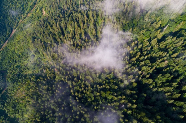 Vista aérea das montanhas dos Cárpatos. Ucrânia, Europa. Protecção da ecologia dos conceitos. Vista superior — Fotografia de Stock