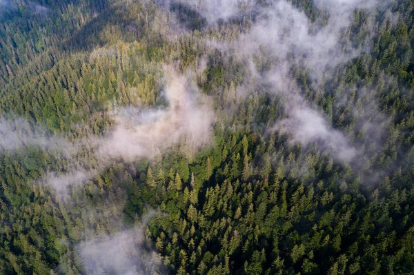 Vista aérea das montanhas dos Cárpatos. Ucrânia, Europa. Protecção da ecologia dos conceitos. Vista superior — Fotografia de Stock