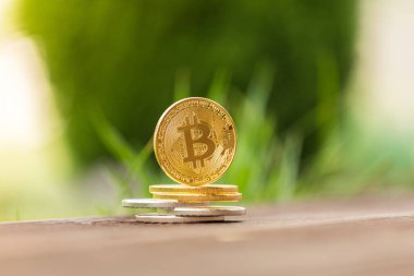 Altın ve gümüş Kripto Döviz Alım bitcoin arka planı yeşil çimen