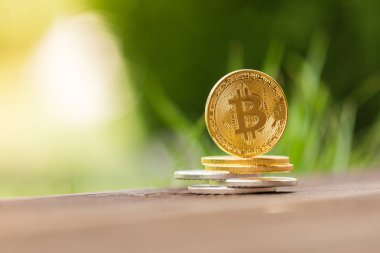 Altın ve gümüş Kripto Döviz Alım bitcoin arka planı yeşil çimen