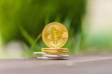 Altın ve gümüş Kripto Döviz Alım bitcoin arka planı yeşil çimen