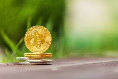 Altın ve gümüş Kripto Döviz Alım bitcoin arka planı yeşil çimen